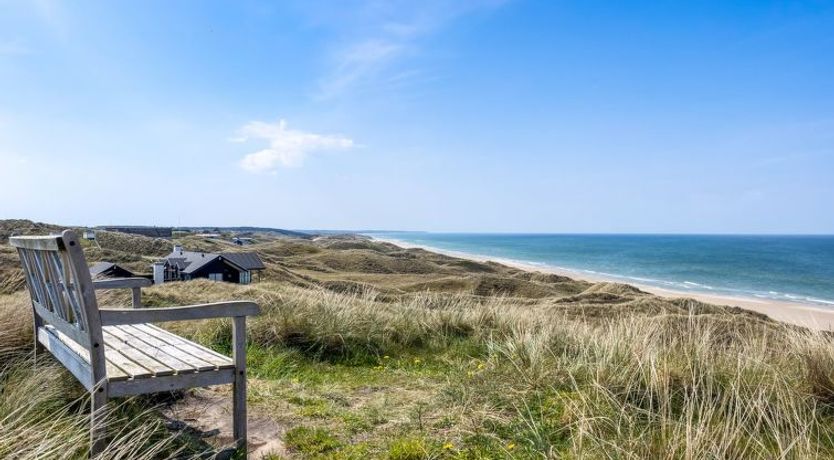 Photo of "Aster" - 150m from the sea