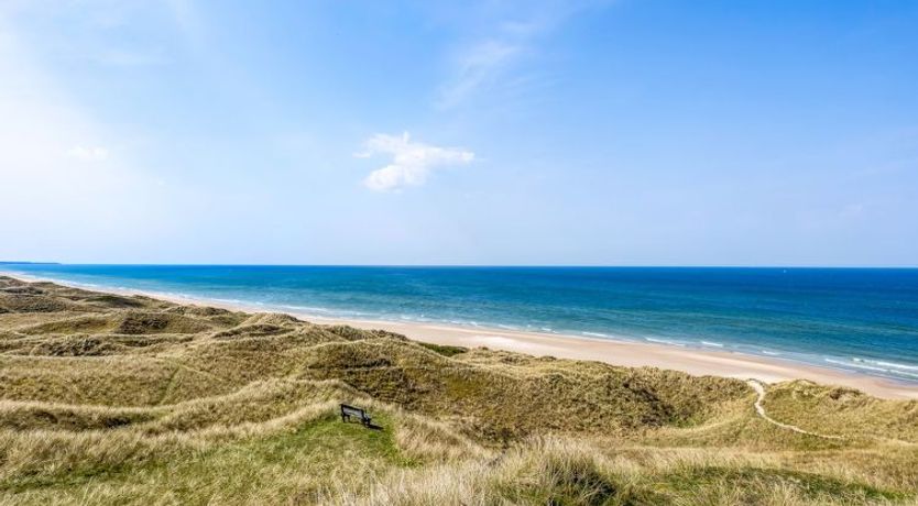 Photo of "Aster" - 150m from the sea