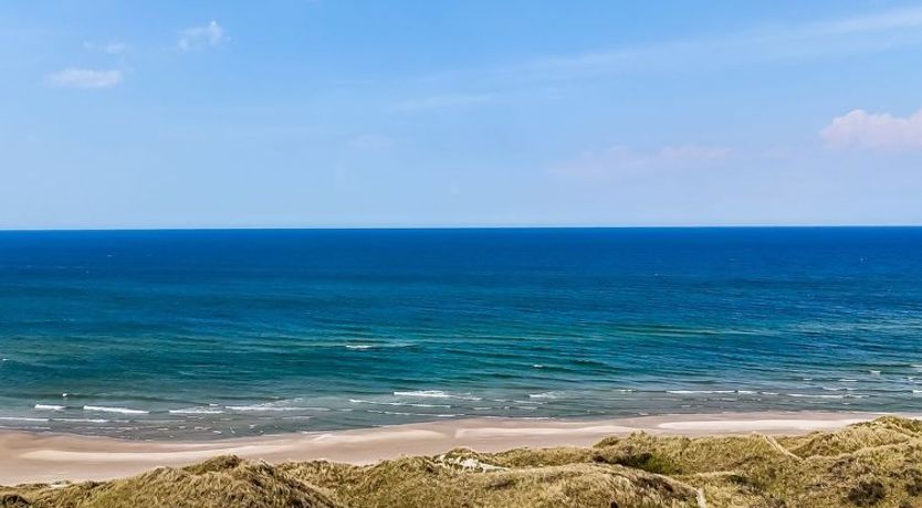 Photo of "Aster" - 150m from the sea