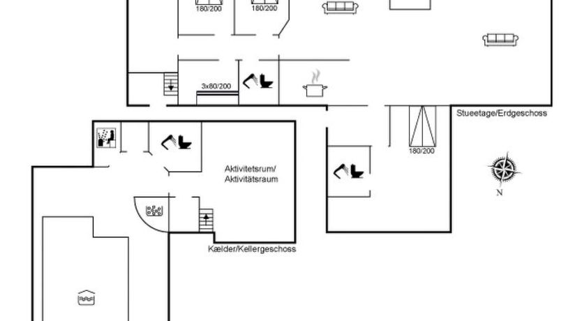 Photo of "Aster" - 150m from the sea