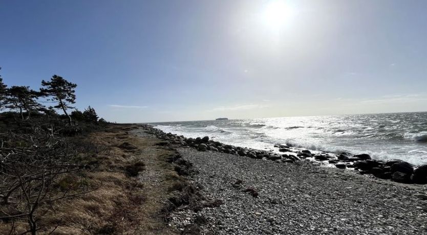 Photo of "Aimy" - 50m from the sea