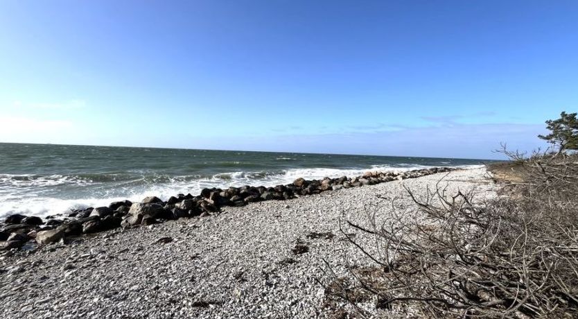 Photo of "Aimy" - 50m from the sea