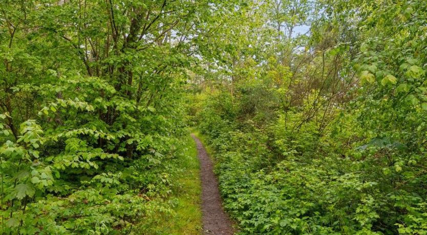 Photo of "Arkil" - 150m from the sea