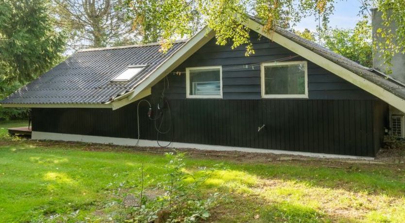 Photo of "Ninni" - 3.2km from the sea