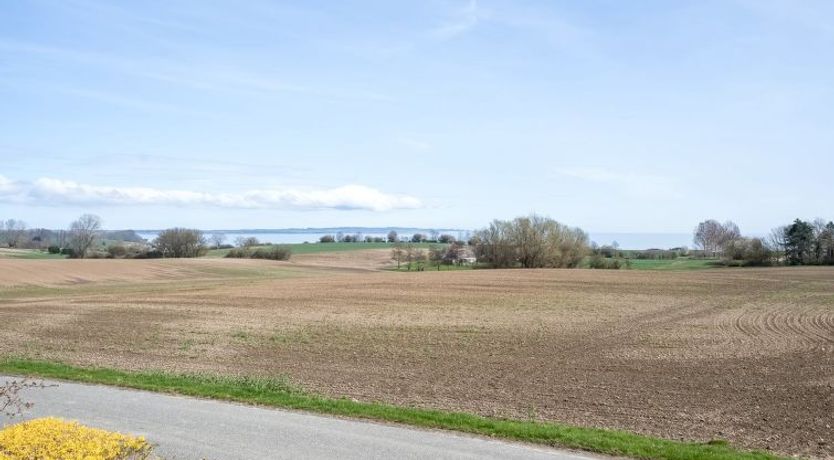 Photo of "Albertine" - 600m from the sea