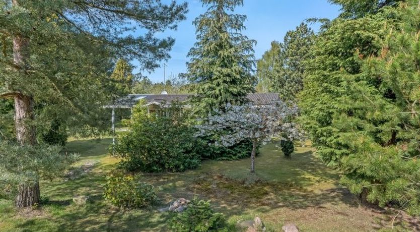 Photo of "Berit" - 700m from the sea