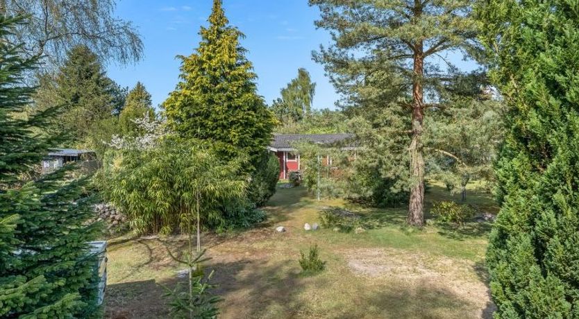 Photo of "Berit" - 700m from the sea