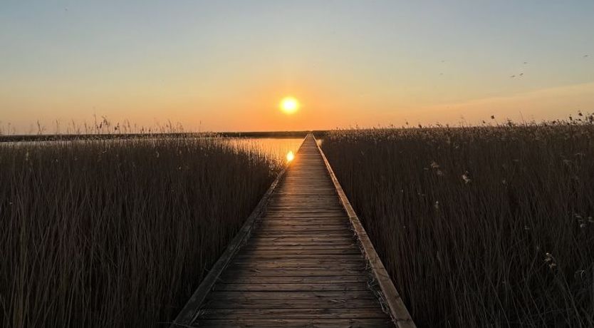 Photo of "Ela" - 800m from the sea