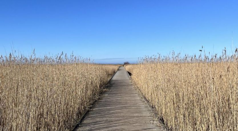 Photo of "Ela" - 800m from the sea