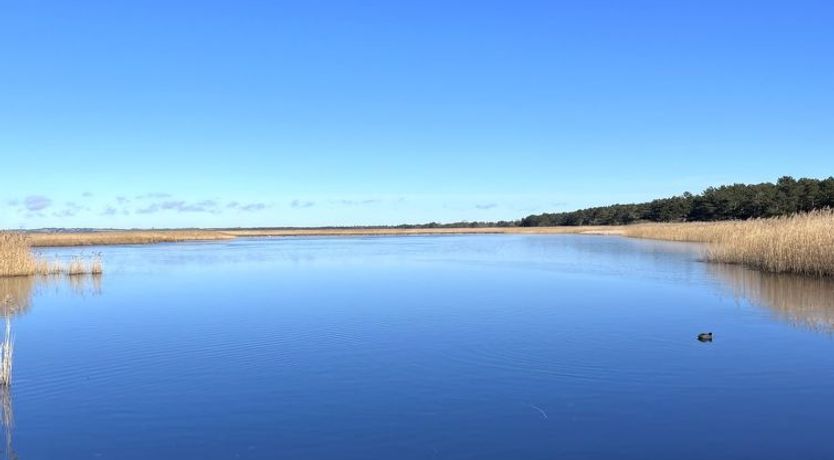 Photo of "Ela" - 800m from the sea