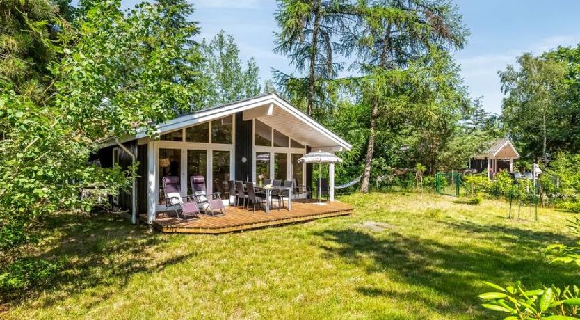 Photo of "Hertta" - 200m from the sea