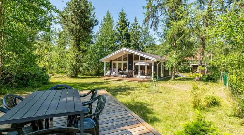 Photo of "Hertta" - 200m from the sea