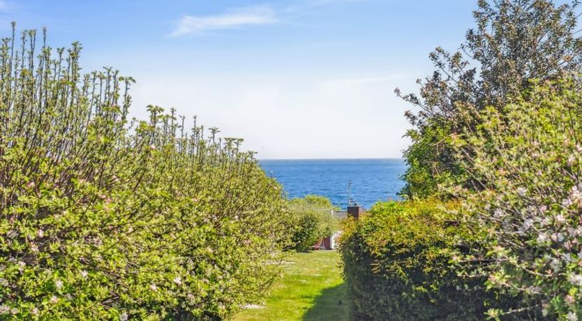Photo of "Bratko" - 300m from the sea