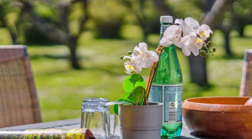 Photo of "Bratko" - 300m from the sea