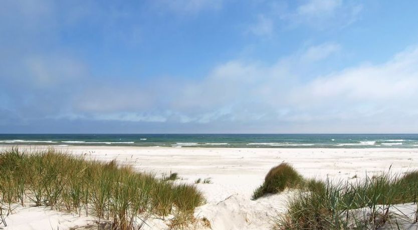 Photo of "Georg" - 300m from the sea