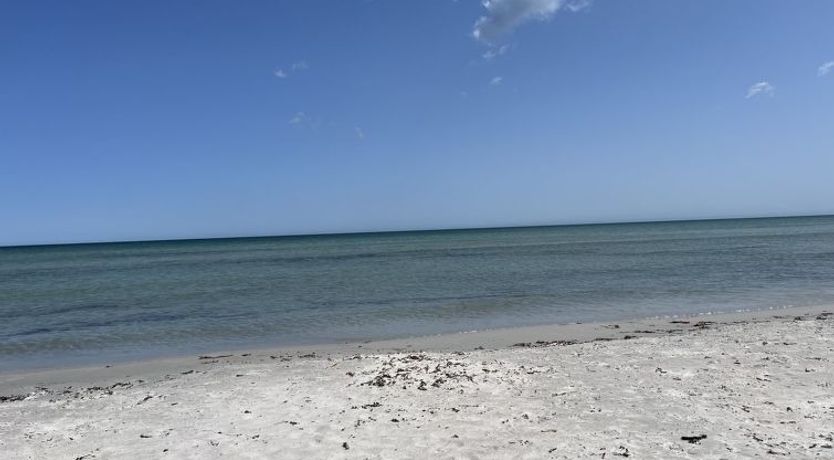 Photo of "Alica" - 200m from the sea