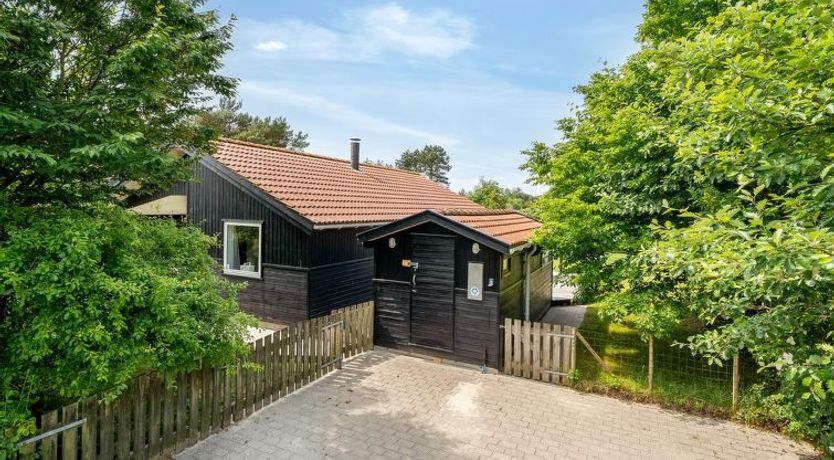 Photo of "Allie" - 150m from the sea