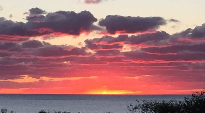 Photo of "Marius" - 30m from the sea