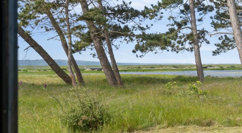 Photo of "Felis" - 575m from the sea