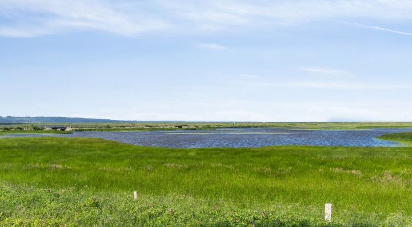 Photo of "Felis" - 575m from the sea