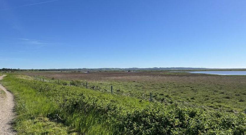 Photo of "Felis" - 575m from the sea