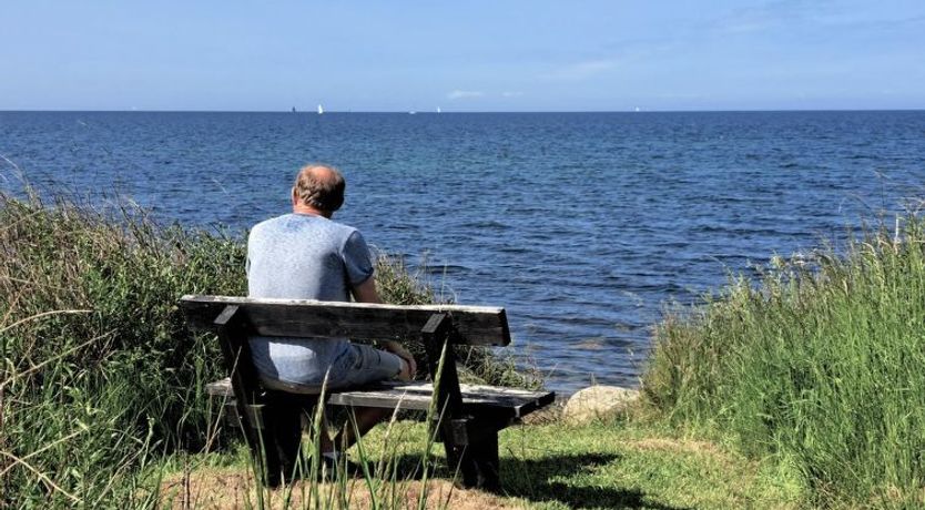 Photo of "Faina" - 100m from the sea