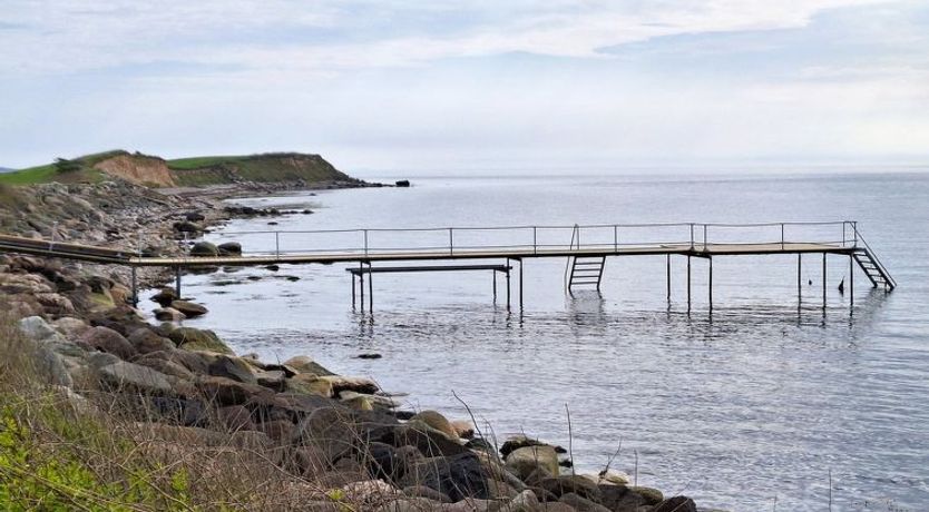 Photo of "Faina" - 100m from the sea