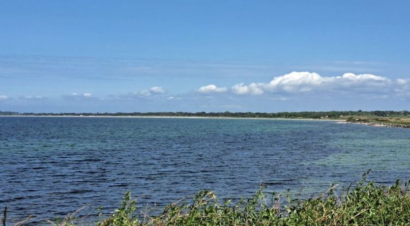 Photo of "Faina" - 100m from the sea