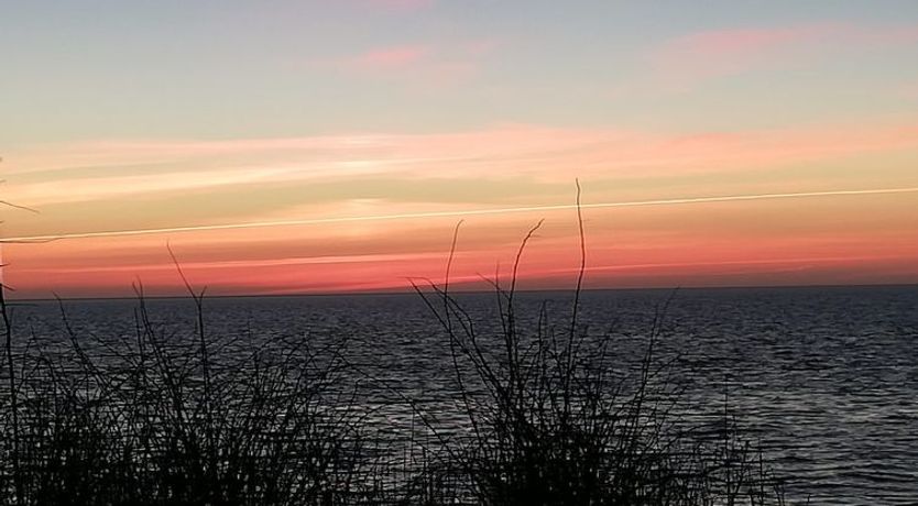 Photo of "Faina" - 100m from the sea