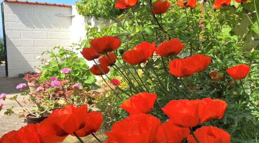 Photo of "Merete" - 50m from the sea