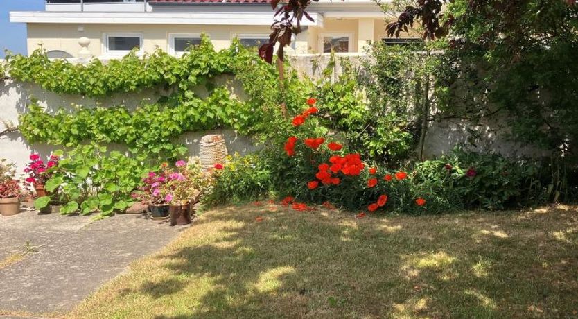 Photo of "Merete" - 50m from the sea