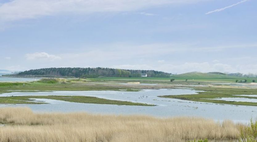 Photo of "Ewelina" - 150m from the sea