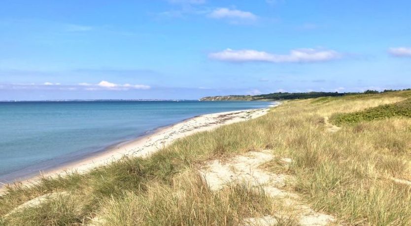 Photo of "Jorinde" - 1km from the sea