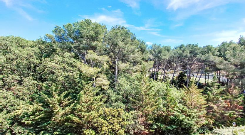 Photo of Les Oliviers