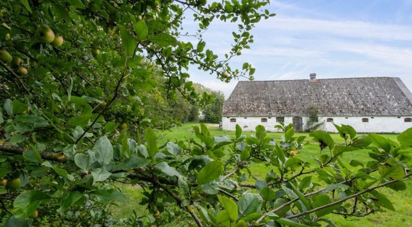 Photo of "Landuin" - 30km from the sea