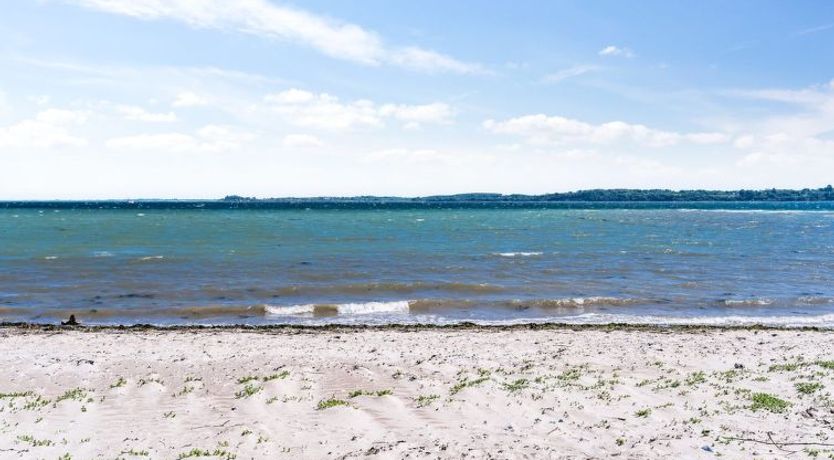 Photo of "Fokke" - 450m from the sea