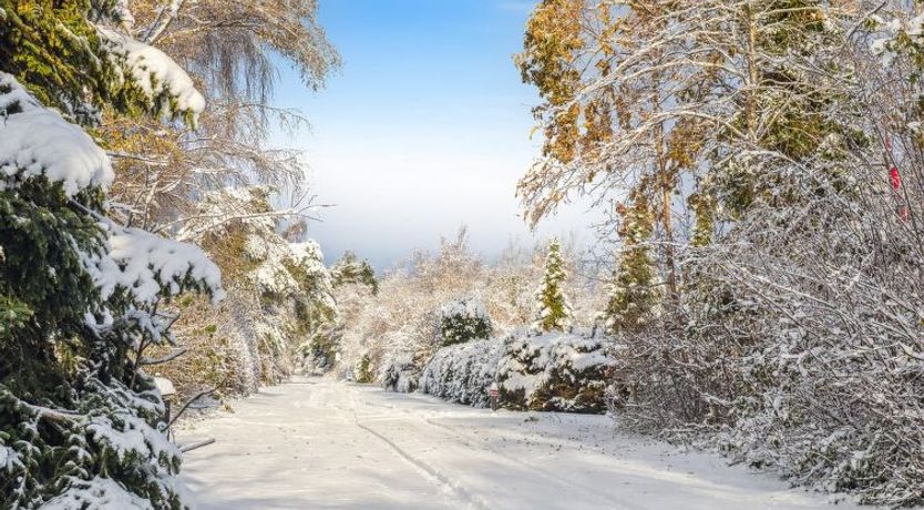 Photo of "Jouni" - 500m from the sea