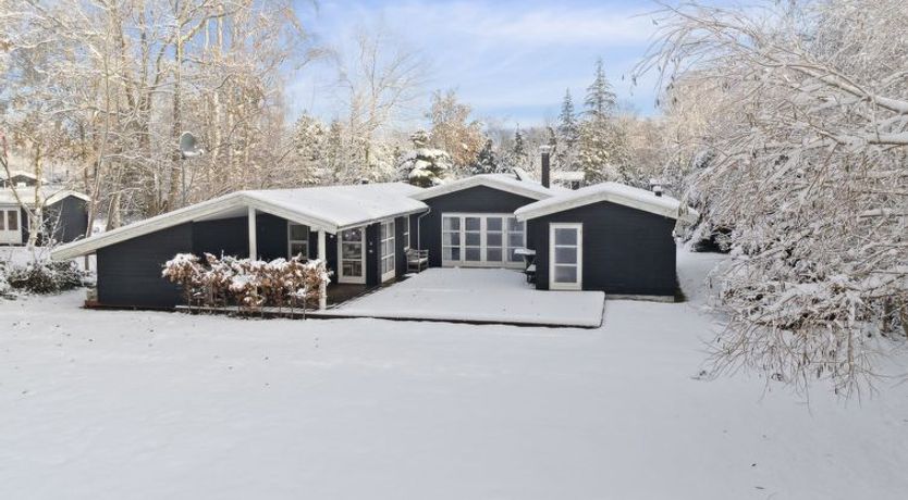 Photo of "Jouni" - 500m from the sea