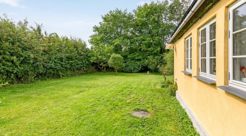 Photo of "Hughlek" - 1.5km from the sea