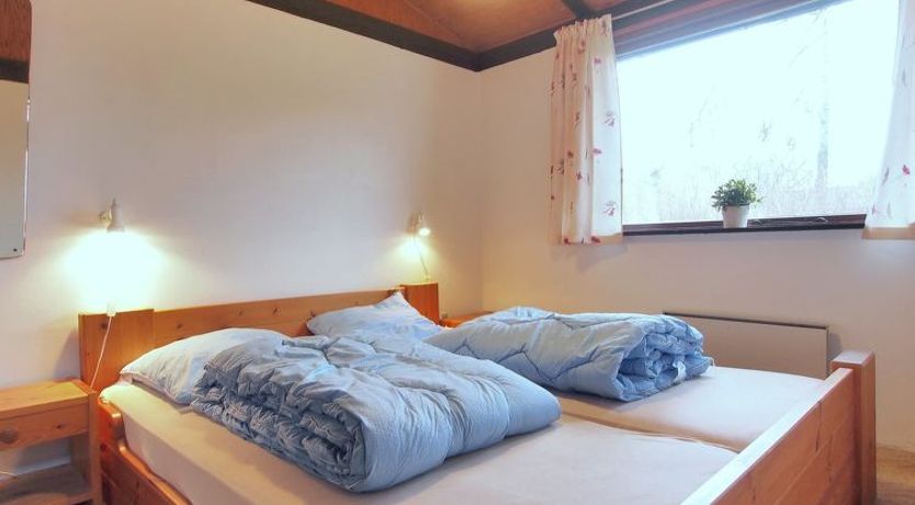 Photo of "Tjara" - 600m from the sea