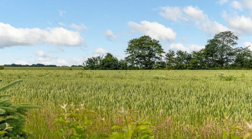 Photo of "Thrine" - 24km from the sea