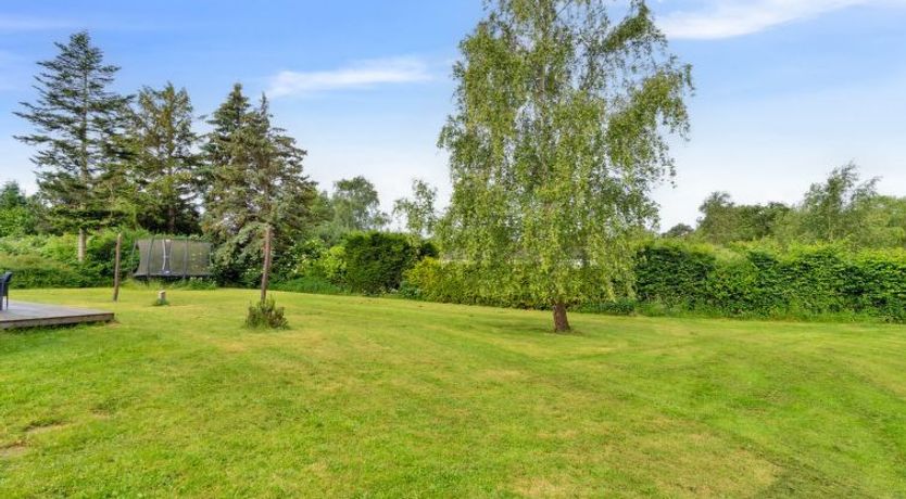 Photo of "Cita" - 350m from the sea