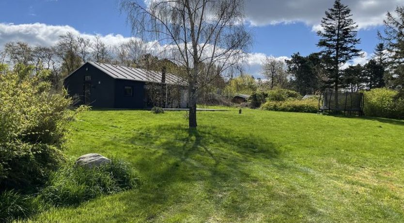 Photo of "Cita" - 350m from the sea