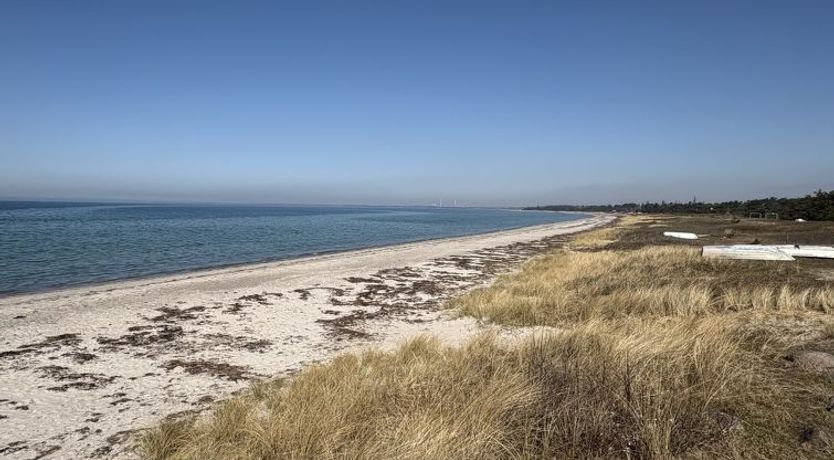 Photo of "Cita" - 350m from the sea