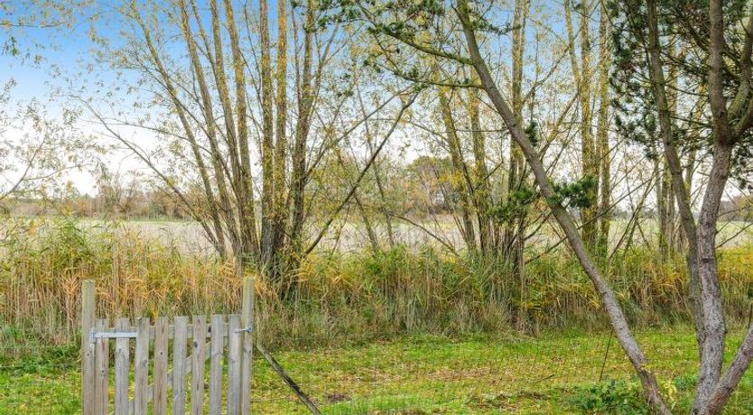 Photo of "Arendine" - 700m from the sea