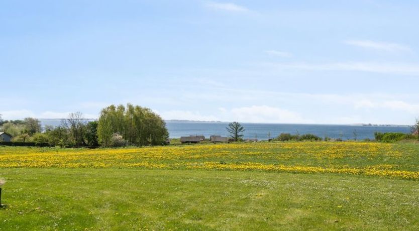 Photo of "Halvor" - 275m from the sea