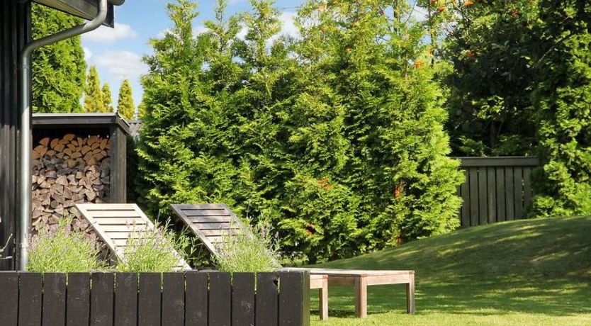 Photo of "Pavle" - 700m from the sea