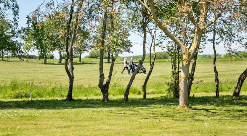 Photo of "Momo" - 570m from the sea