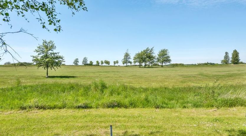 Photo of "Momo" - 570m from the sea