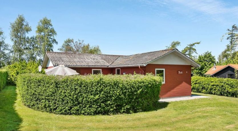 Photo of "Momo" - 570m from the sea